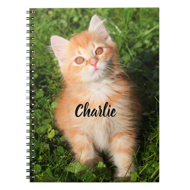 Carnet Personalized Cute Fluffy Orange Tabby Cat Kitten (Devant)
