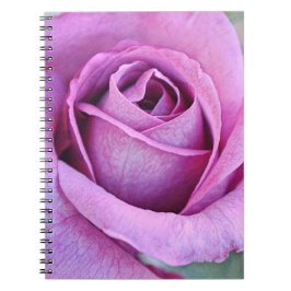 Carnet Pétales Roses violets du jardin de Gertie