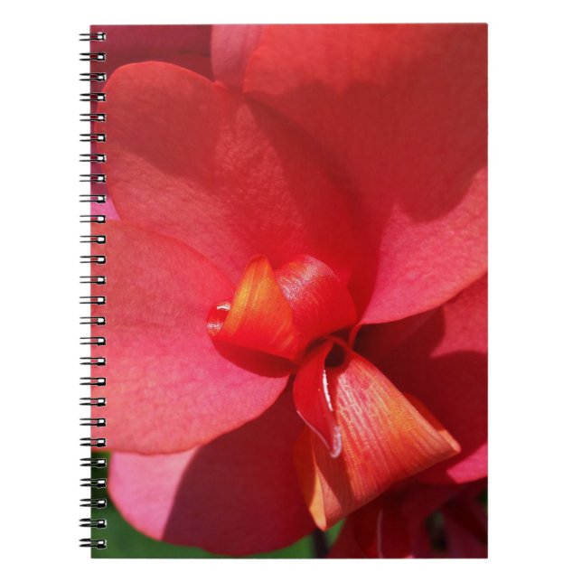 Carnet pétales rouge vif (Devant)