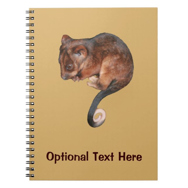 Carnet Petit Bébé Singtail Possum (Devant)