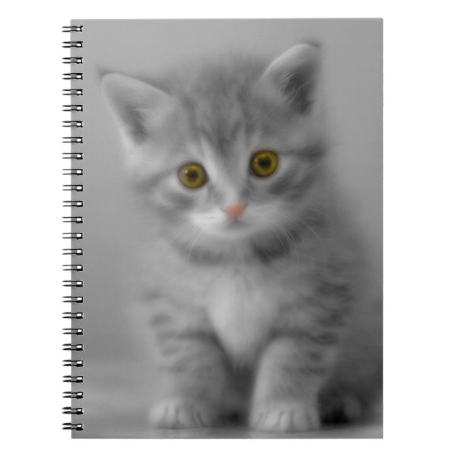 Carnet Petit chaton doux (Devant)