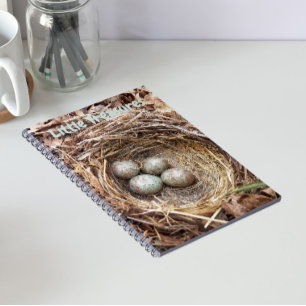 Carnet Petits Trésors Œufs de Nid d'Oiseau