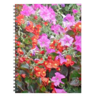 Carnet Pétunia rose et géraniums rouges
