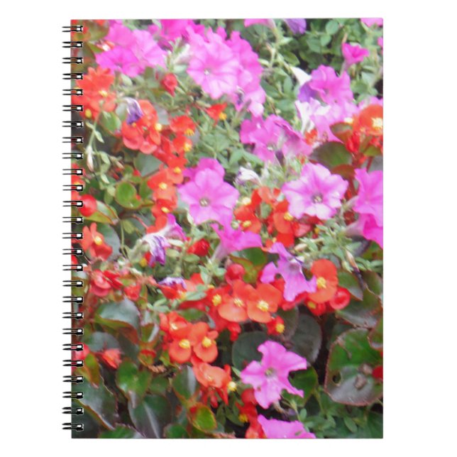 Carnet Pétunia rose et géraniums rouges (Devant)