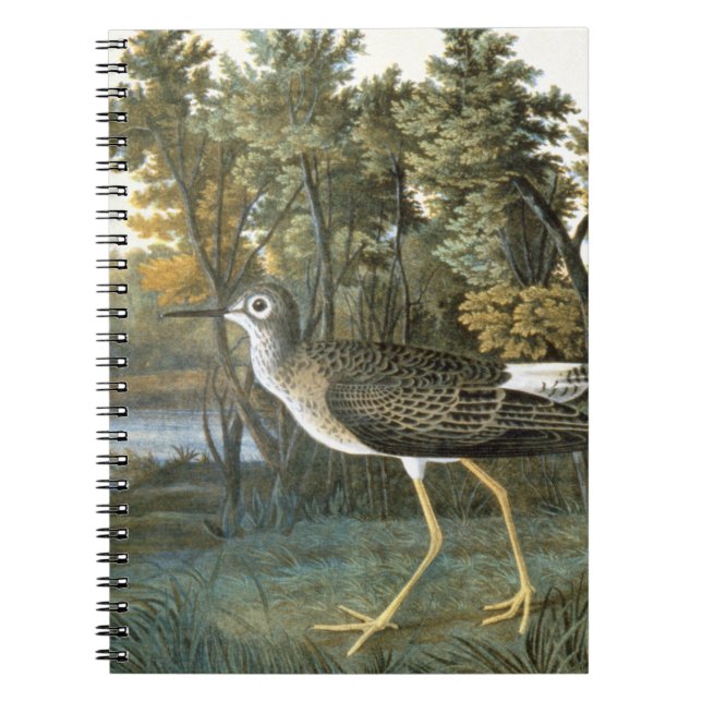 Carnet Peu de Yellowlegs (Devant)