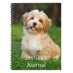 Carnet photo