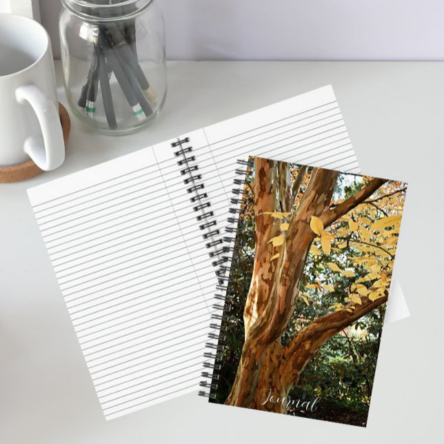 Carnet Photo botanique japonaise de Stewartia Tree (In Situ)