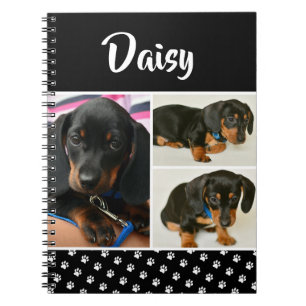 Carnet Photo Collage Pawprint de Chien Noir - Animaux de