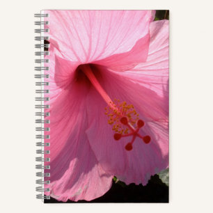 Carnet Photo d'art fin de l'hibiscus rose hawaïen
