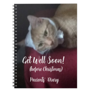 Carnet Photo de chat roux Bon rétablissement, Spirale