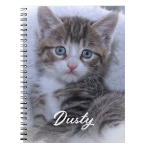 Carnet Photo de chaton mignon de famille