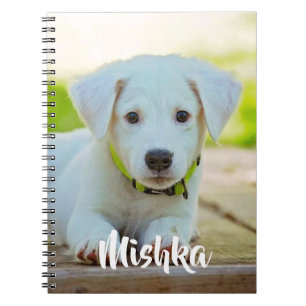 Carnet Photo de compagnie personnalisée