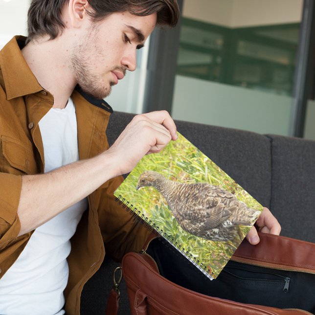 Carnet Photo de la faune du Tétras de Soie (In Situ)