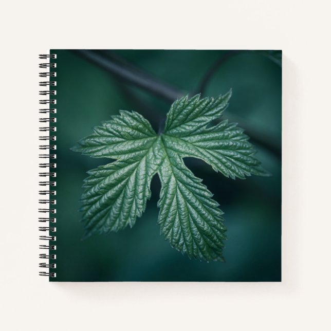 Carnet Photo de la nature humaine (Devant)