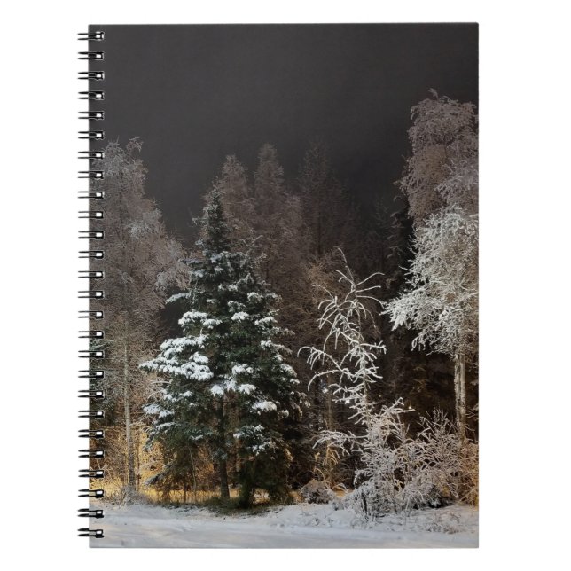 Carnet photo de la spirale nocturne de l'Alaska (Devant)