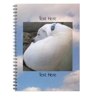 Carnet Photo de mignon Chien dormant Ciel nuageux bleu