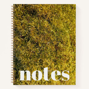 Carnet Photo de mousse verte citron vibrante