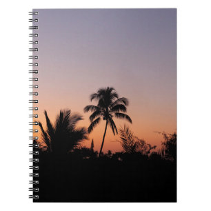 Carnet Photo de palmier