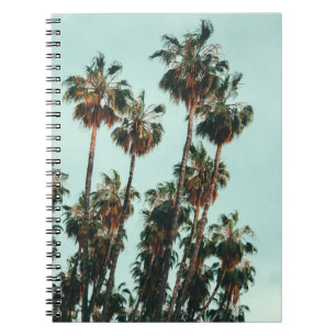 Carnet Photo de palmiers verts