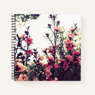 Carnet Photo de prairie sauvage à fleurs roses