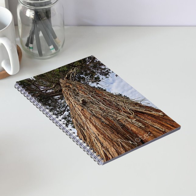 Carnet Photo de séquoia géant (In Situ)