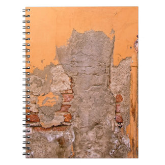 CARNET PHOTO D'ORANGE ET PEINTURE DE MUR GRIS