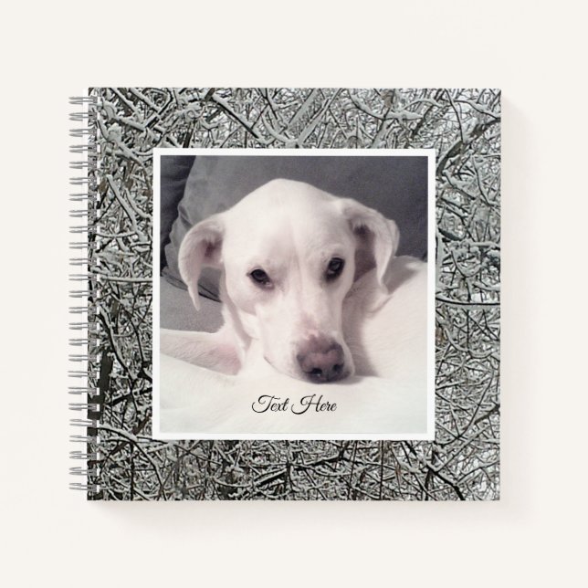 Carnet Photo d'un chien blanc mignon ayant un jour d'hive (Devant)