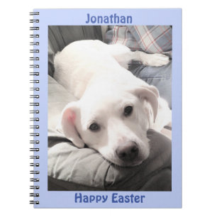 Carnet Photo d'un chiot blanc mignon Pâques Cadeau Bleu
