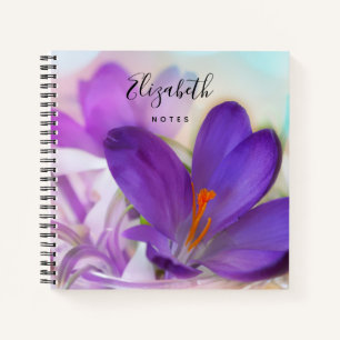 Carnet Photo d'un joli Crocus de printemps violet