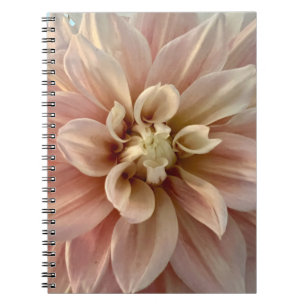 Carnet Photo d'une fleur de la Nouvelle-Angleterre