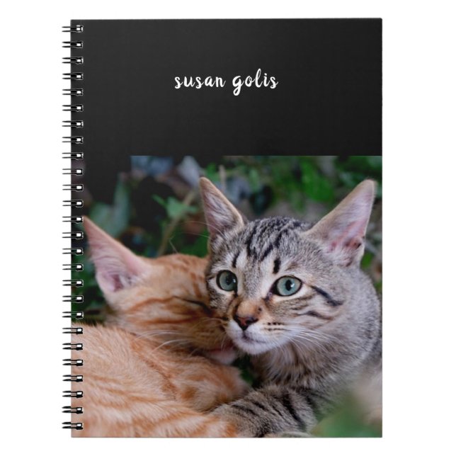 Carnet photo en spirale de chats mignons (Devant)