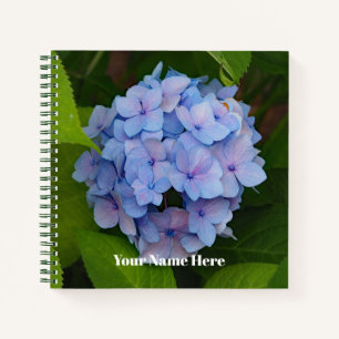 Carnet Photo florale d'Hydrangea bleu et rose