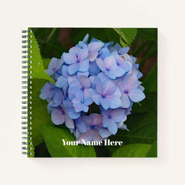 Carnet Photo florale d'Hydrangea bleu et rose (Devant)