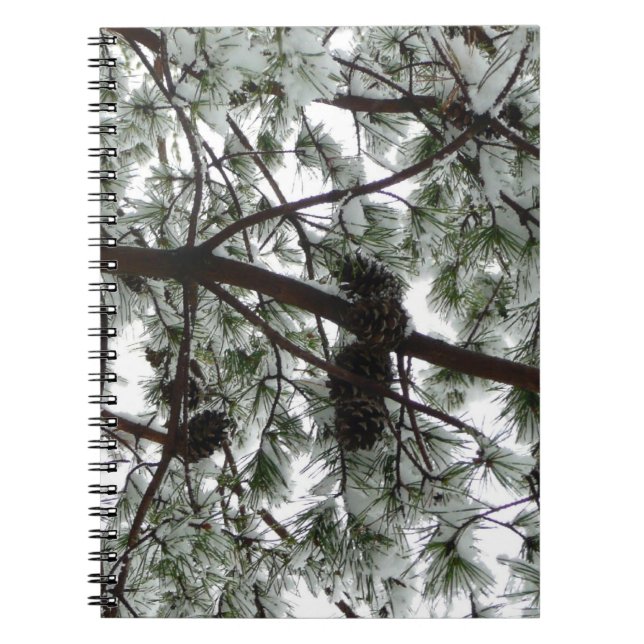 Carnet Photo hivernale sous le pin couvert de neige (Devant)