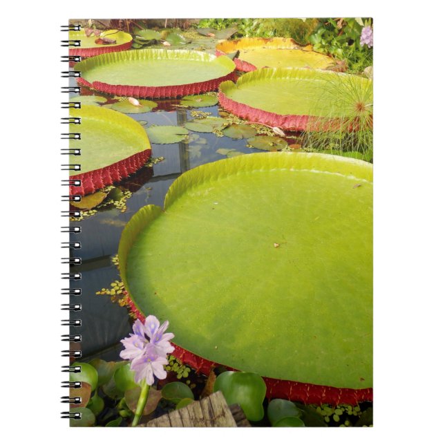 Carnet photo Lily Pads (Devant)