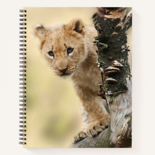 Carnet Photo mignonne d'un lionceau grimpant à un arbre