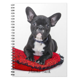 Carnet Photo noire //de bouledogue français personnalis