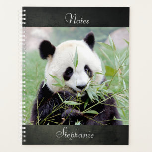 Carnet Photo panda géant, animaux 02. carnet