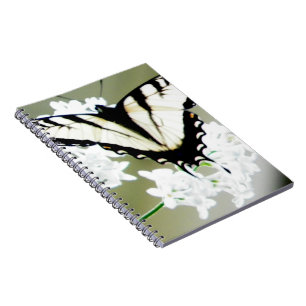 Carnet Photo papillon de l'épaisse du tigre oriental