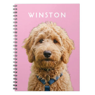 Carnet Photo personnalisée avec nom de chien - LIRE LA DE