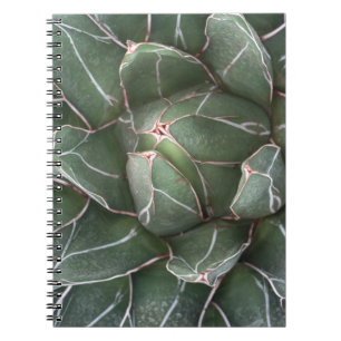 Carnet Photo Plante Succulent (80 Pages B&W)