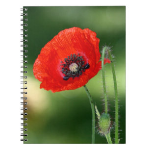 Carnet photo Red Poppy Seed