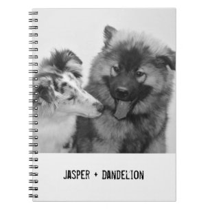 Carnet Photo simple, moderne personnalisée pour animaux d
