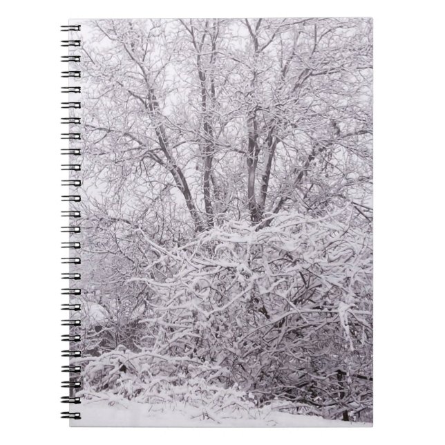 Carnet photo Snowy Scene (Devant)