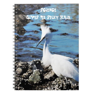 Carnet photo Spiky Hair Bird