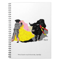 Carnet photo Spiral : Bullfighter