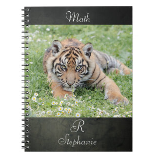 Carnet Photo tiger, animaux 0254.