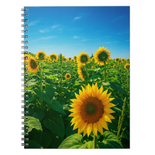 Carnet Photo tournesol vibrante