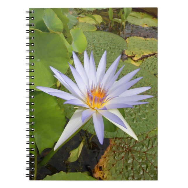 Carnet photo Water Lily (Devant)