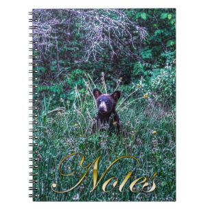 Carnet Photo Wild Black Bear Cub Wildlife